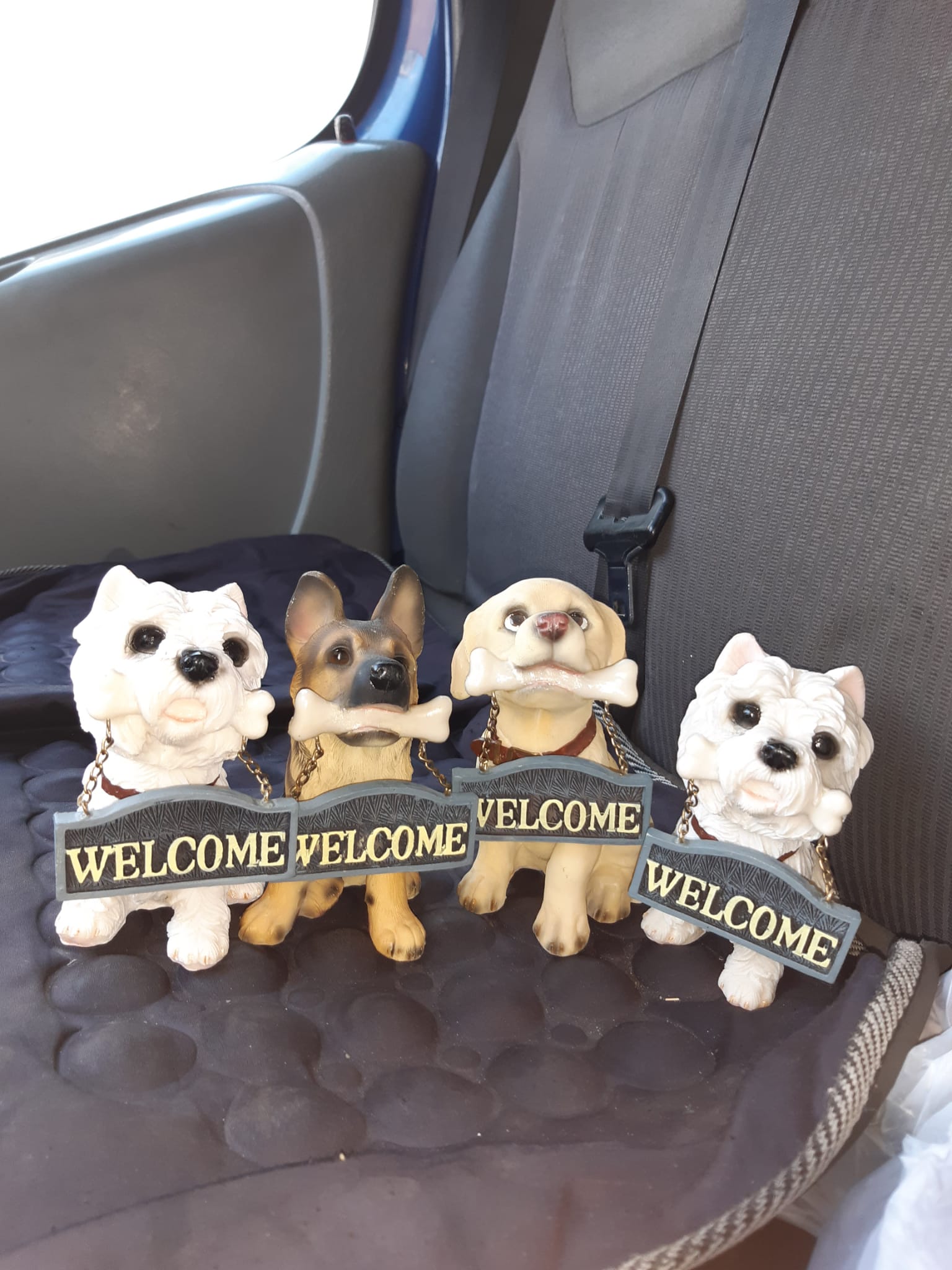 Cagnolini welcome decorativi